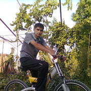  ,   , 41 ,   