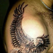 ���������� ����, ���� ������� Niko, 43 ����, ������������ ��� ������, ����� � ���������, c�������� ���������, ���������