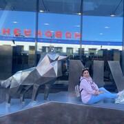 ���������� �����������, ���� ������� �������, 56 ���, ������������ ��� ������, ����� � ���������, c�������� ���������