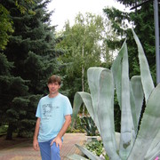   ,   , 54 ,  