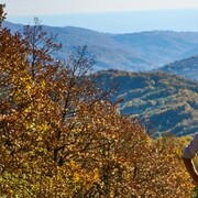 ���������� ����, ���� ������� �����, 56 ���, ������������ ��� ������, ����� � ���������, c�������� ���������