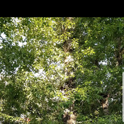 ���������� ��, ���� ������� ����, 27 ���, ������������ ��� ������, ����� � ���������, c�������� ���������