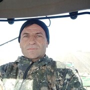  -,   , 46 ,     , c , 