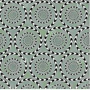 ���������� �����������, ���� ������� ������, 45 ���, ������������ ��� ������, ����� � ���������, c�������� ���������