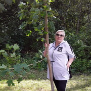 ���������� ������, ���� ������� �������, 62 ����, ������������ ��� ����� � ���������, c�������� ���������, ���������