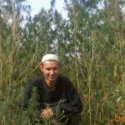 ���������� ��������, ���� ������� ������, 37 ���, ������������ ��� ������