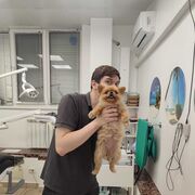 ���������� �����, ���� ������� ���������, 34 ����, ������������ ��� ������, ����� � ���������, c�������� ���������