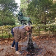 ���������� ������, ���� ������� �������, 48 ���, ������������ 