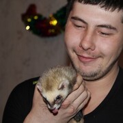 ���������� ���������, ���� ������� �������, 39 ���, ������������ ��� ������, ����� � ���������, c�������� ���������