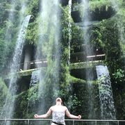 ���������� ������, ���� ������� ���������, 36 ���, ������������ ��� ������, ����� � ���������, c�������� ���������