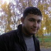  ,  Golden, 41