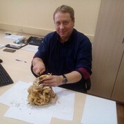 ���������� ���������, ������� ����, 48