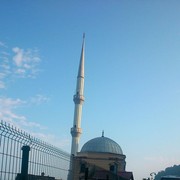  ,   Nika, 33 ,   ,   , c 