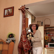  ,   , 36 ,   