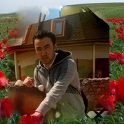  -,   DJ, 37 ,   ,   , c 