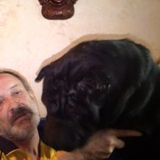  ,   POUL, 66 ,   