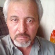  ,   Sasha, 59 ,     , c 