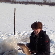 ���������� ���������, ���� ������� ������, 55 ���, ������������ ��� ������, ����� � ���������, c�������� ���������