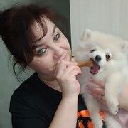 ���������� ������, ���� ������� �������, 40 ���, ������������ ��� ������, ����� � ���������