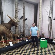 ���������� ����, ���� ������� �������, 38 ���, ������������ ��� ������, ����� � ���������