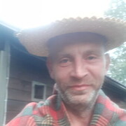 ���������� ������, ���� ������� ����, 49 ���, ������������ ��� ������, ����� � ���������