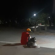 ���������� ������, ���� ������� ����, 41 ���, ������������ ��� ������, ����� � ���������