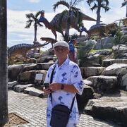 ���������� ����������, ���� ������� �����, 70 ���, ������������ 