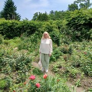 ���������� ������, ���� ������� �������, 75 ���, ������������ ��� c�������� ���������