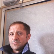 ,   Tatarin, 50 ,   ,   , c 