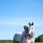 ���������� ������, ���� ������� ����, 39 ���, ������������ ��� ������, ����� � ���������