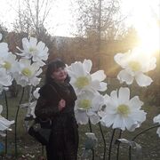 ,   , 58 ,   c 