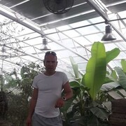  ,   , 48 ,  