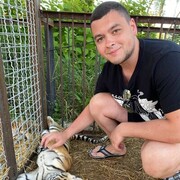 ���������� �����������, ���� ������� ������, 31 ���, ������������ ��� ������, ����� � ���������, c�������� ���������