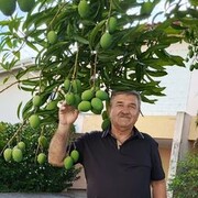  -,   , 65 ,   ,   