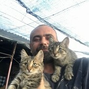 ���������� ������, ���� ������� Yura, 40 ���, ������������ ��� ������, ���������