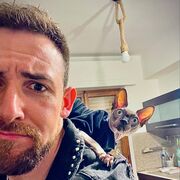 ���������� ������, ���� ������� ����, 38 ���, ������������ ��� ������, ����� � ���������, c�������� ���������