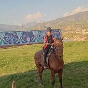 ���������� ������, ���� ������� �������, 38 ���, ������������ ��� ������, ����� � ���������