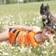 ���������� ����, ���� ������� �����, 38 ���, ������������ 