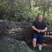 ���������� ����������, ���� ������� ���������, 42 ����, ������������ ��� ������, ����� � ���������