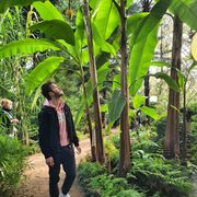 ���������� �����-���������, ���� ������� ���������, 27 ���, ������������ ��� c�������� ���������, ���������