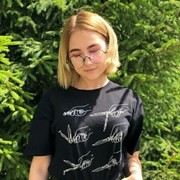 ,   , 24 ,  