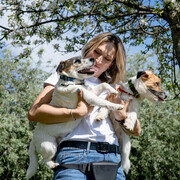 ���������� �����-���������, ���� ������� �����, 37 ���, ������������ ��� ����� � ���������, c�������� ���������