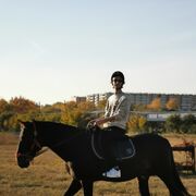 ���������� ����������, ���� ������� ����, 27 ���, ������������ ��� ������, ����� � ���������