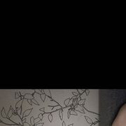 ���������� ������, ���� ������� ������, 26 ���, ������������ ��� ������, ����� � ���������