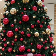 ���������� ����, ���� ������� ����, 53 ����, ������������ ��� ������, ����� � ���������, c�������� ���������