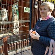 ���������� ������ ��������, ���� ������� �����, 65 ���, ������������ ��� ������, ����� � ���������, c�������� ���������