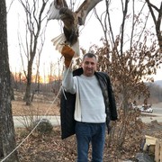  ,   , 58 ,   