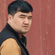 ���������� �����, ���� ������� Baggozza, 31 ���, ������������ ��� ������, ����� � ���������