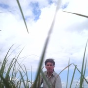 ���������� ������, ���� ������� ������, 42 ����, ������������ ��� ������