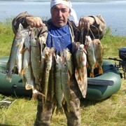 ���������� �������, ���� ������� �������, 50 ���, ������������ ��� ������, ���������